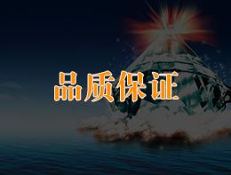 公司優(yōu)勢3